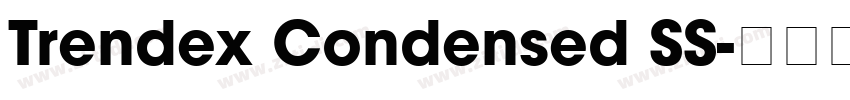 Trendex Condensed SS字体转换